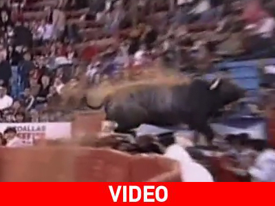 Τι έπαθαν τα έρμα και… πηδάνε;